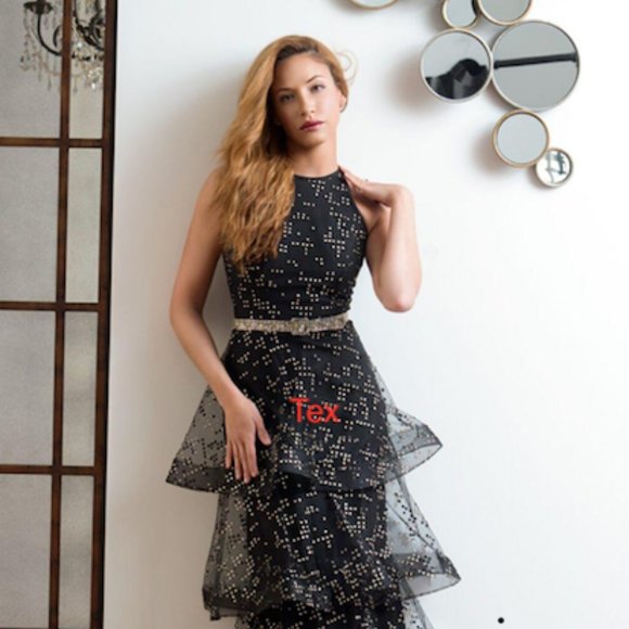 Alex Teih Gown, size 4, black/gold - Picture 1 of 3